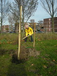 Op veler verzoek: Fruitbomen op het Eco Kinderpark!