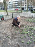 4 mei Dodenherdenking met cirkelperk vol vaste planten in Park 1943 DEEL 2