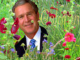 Bush op het proefpark