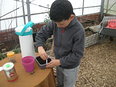 Lekker kweken op het Eco Kinderpark