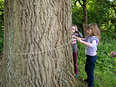 Bomen meten met een touw